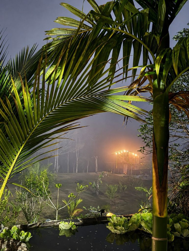Tropical night garden with palm leaves, pond, and a softly lit cabin in the distance