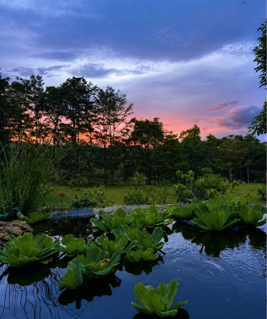 Magic Garden at Lian House in Costa Rica